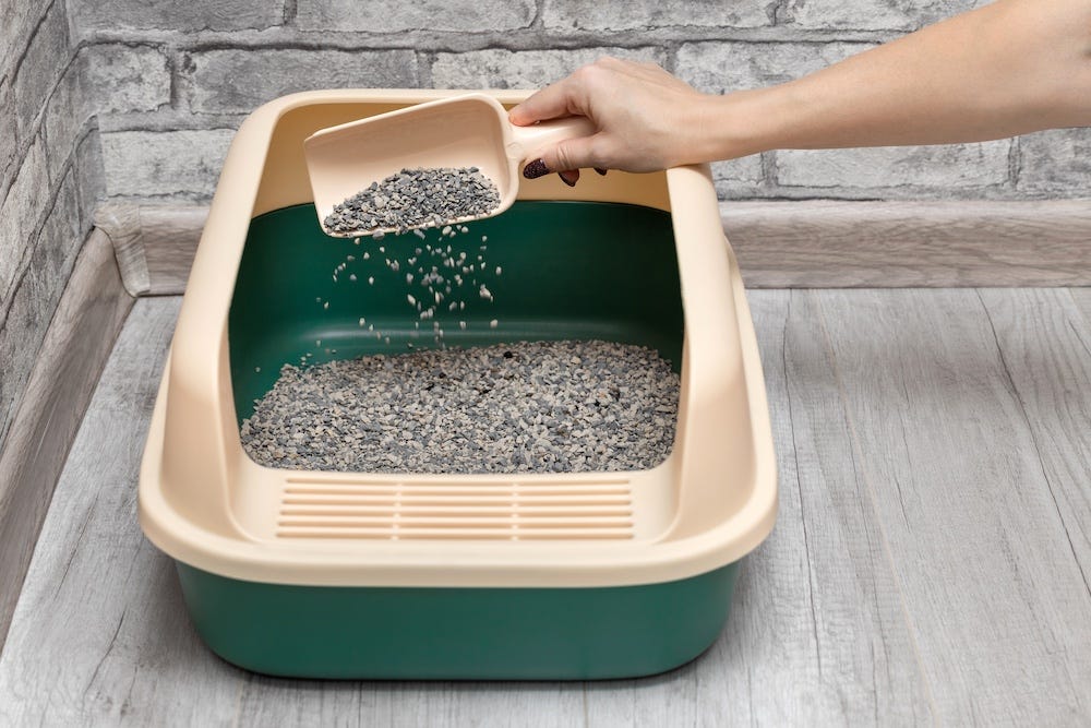 person with scoop of litter