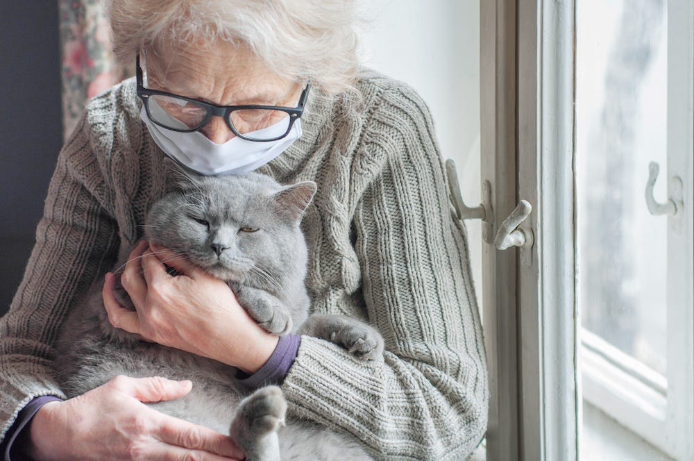 senior citizen woman cuddling grey cat