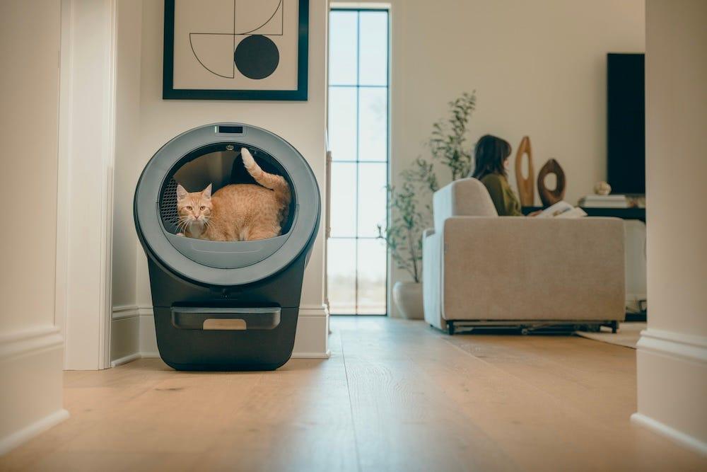 orange tabby cat using litter-robot 5 pro self-cleaning litter box with woman on couch in background