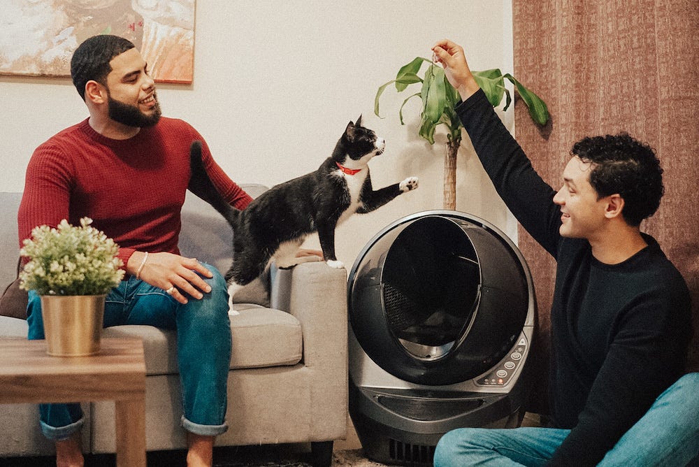 Two men playing with tuxedo cat with Litter-Robot 3 Connect in background