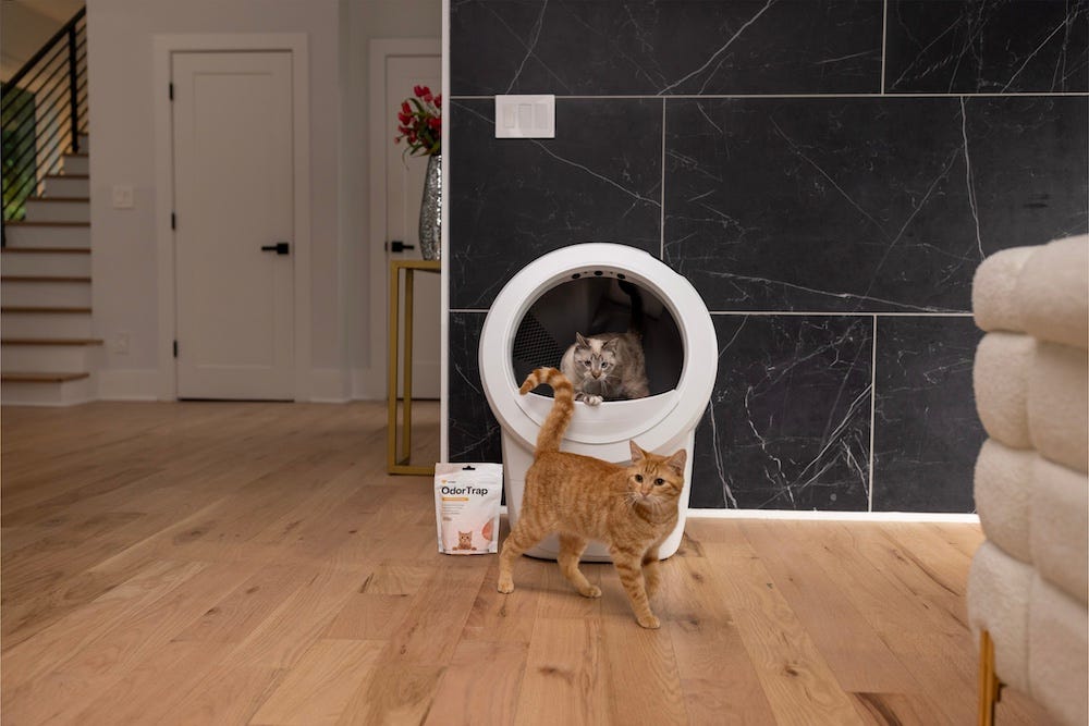multiple cats with Litter-Robot 4 and OdorTrap Packs