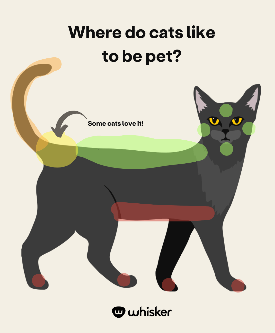 where do cats like to be pet infographic