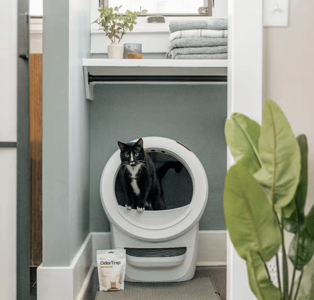 tuxedo cat using Litter-Robot 4 in quiet private space