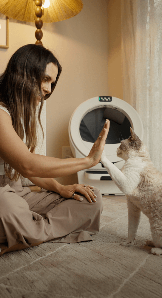 pregnant Dr Anna Foster playing with Devon Rex cat