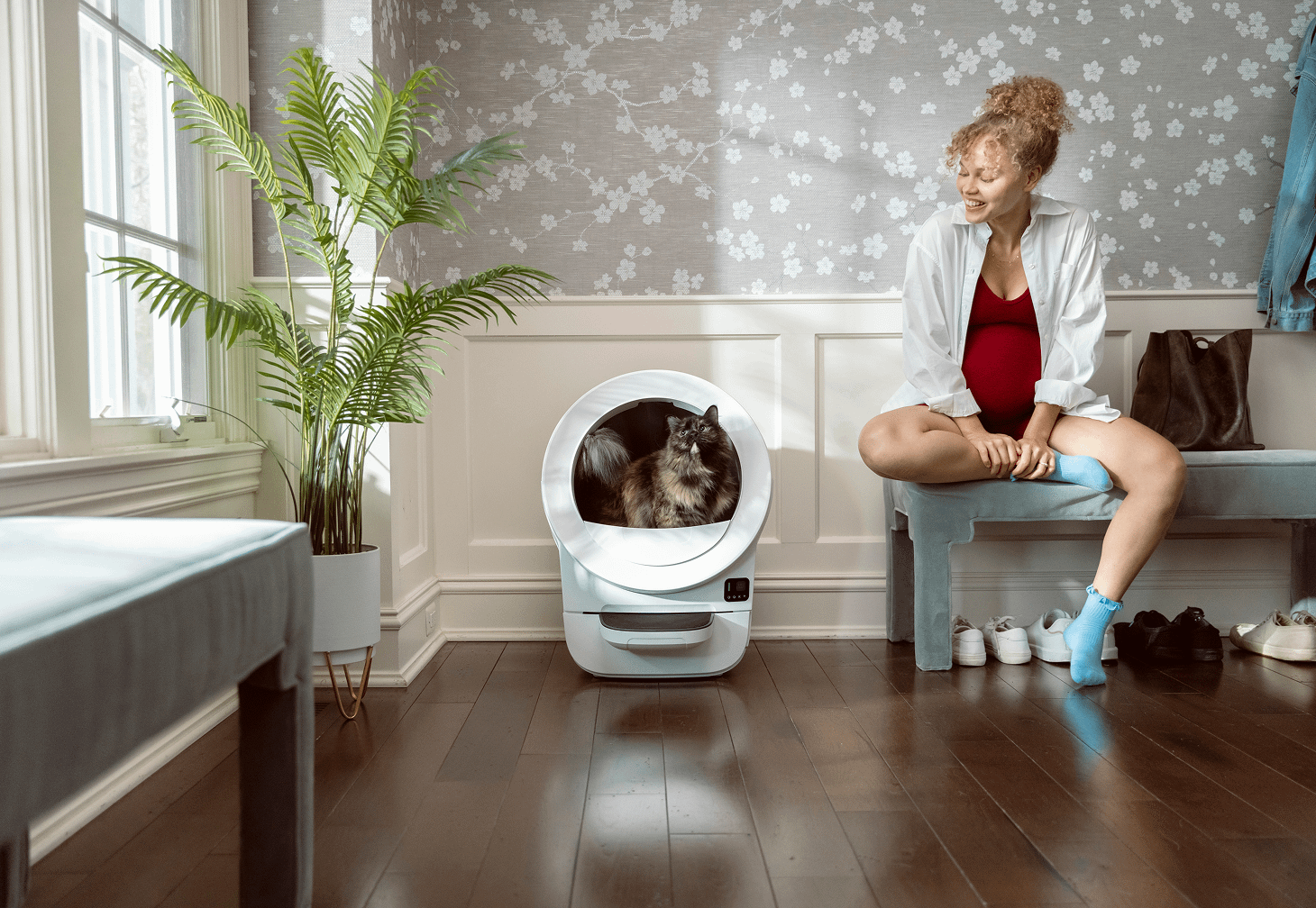 Siberian cat using self-cleaning litter box while happy pregnant person watches