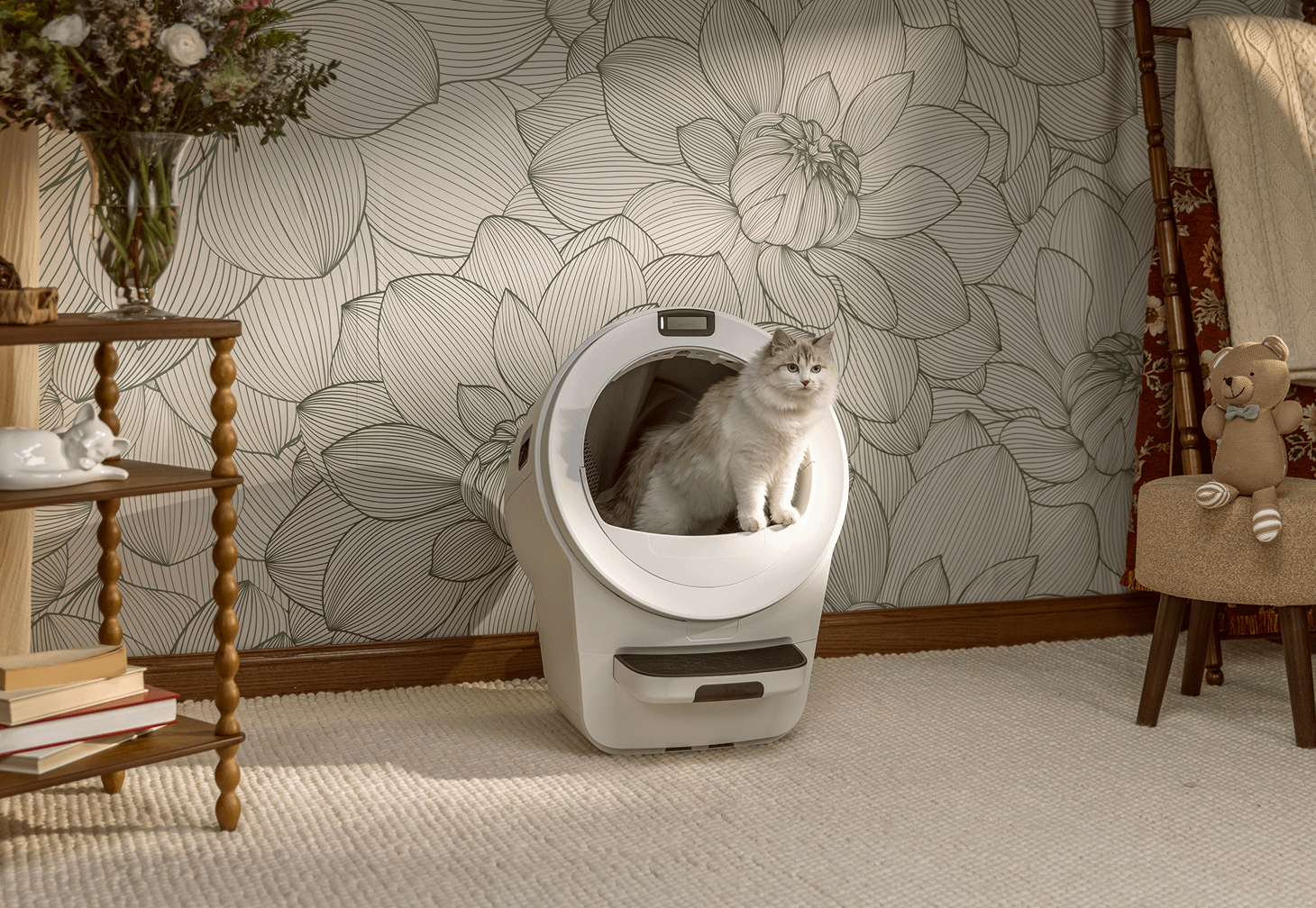 Ragdoll cat using automatic litter box Litter-Robot 5