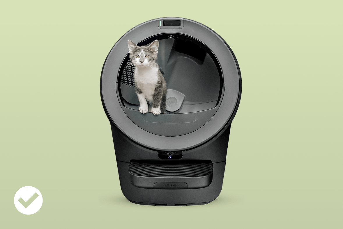 kitten using self-cleaning litter box Litter-Robot 5 Pro