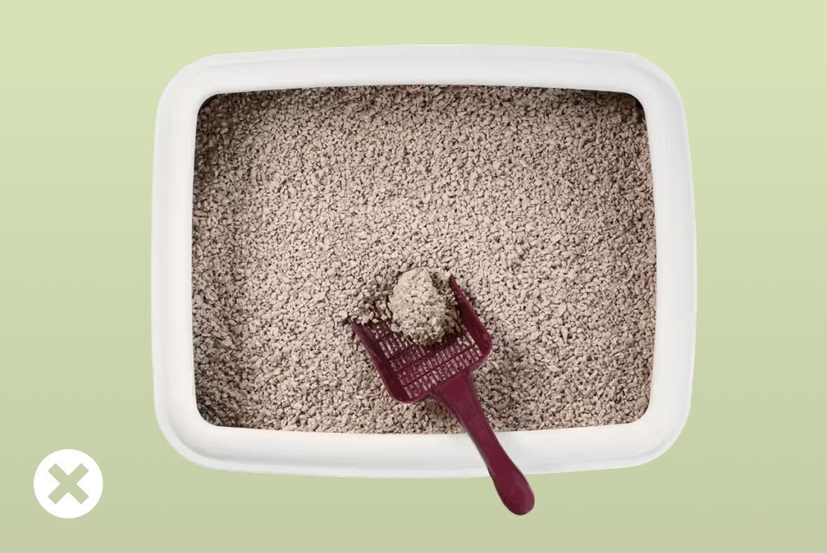 litter scoop with clump in traditional litter box