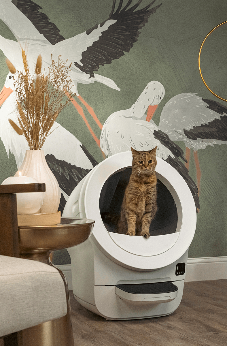 tabby cat using self-cleaning litter box Litter-Robot EVO