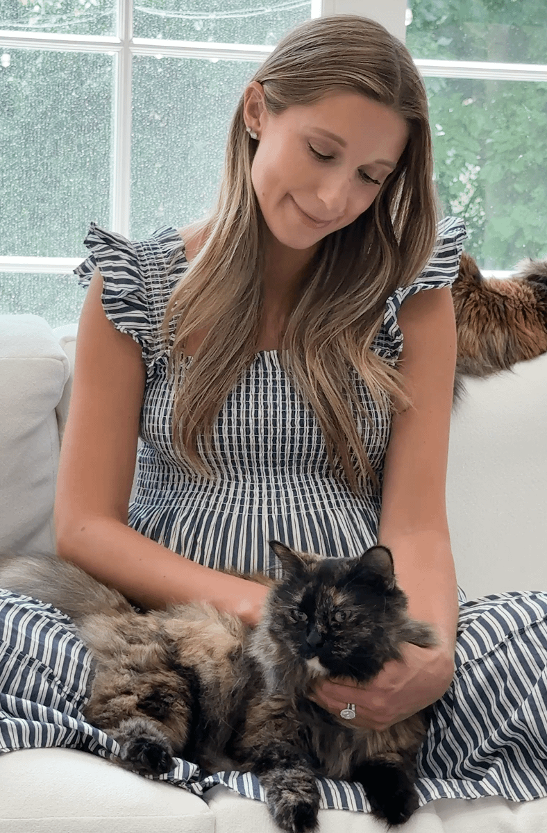 pregnant Litter-Robot customer petting tortie cat