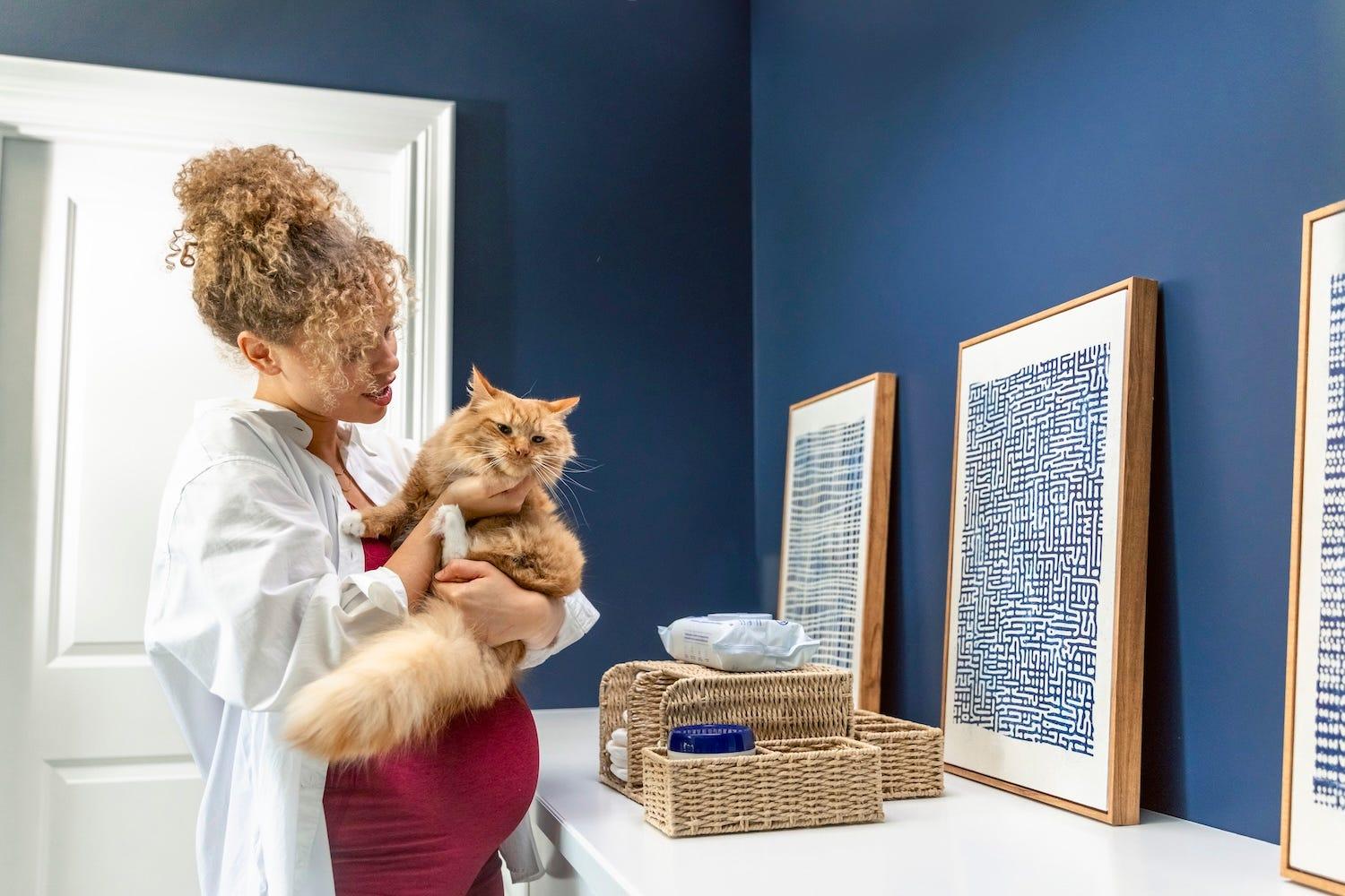 pregnant person holding fluffy orange cat