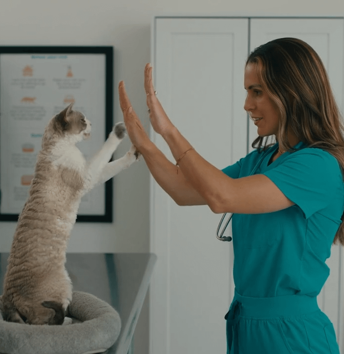 veterinarian Anna Foster and her cat Francois