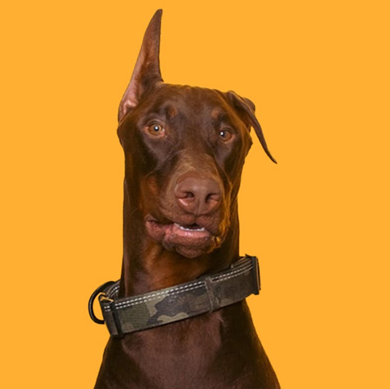 Rico