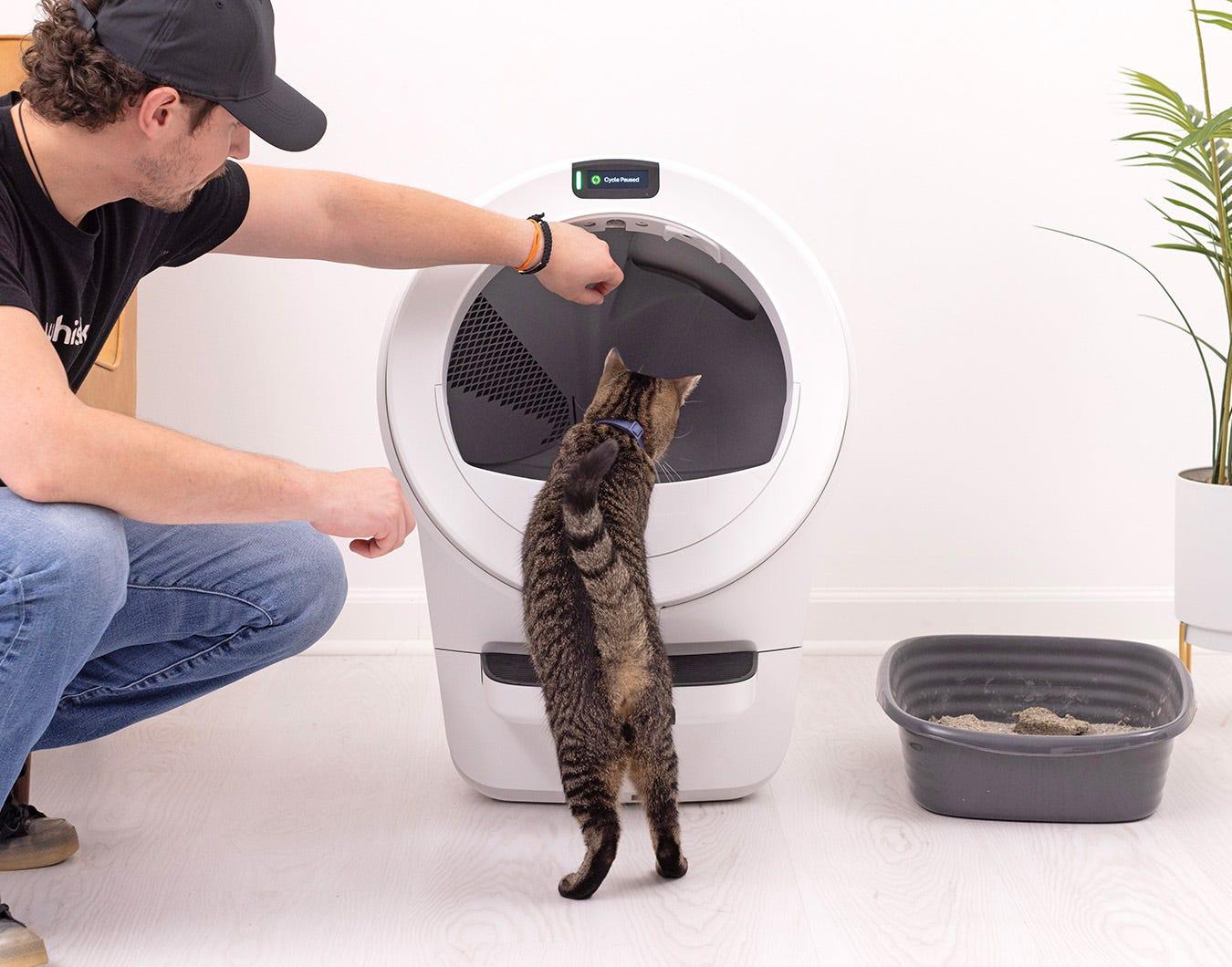 Litter-Robot 4 next to a traditional litter box