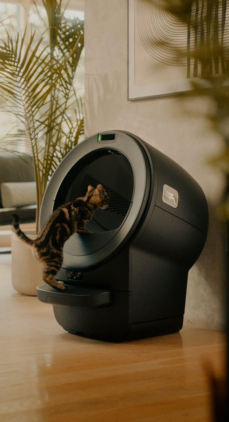 Whisker Innovation