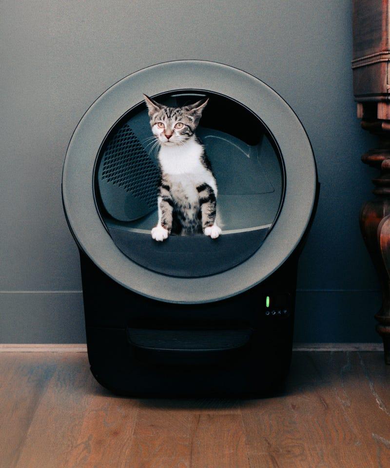 Kitten next to Litter-Robot