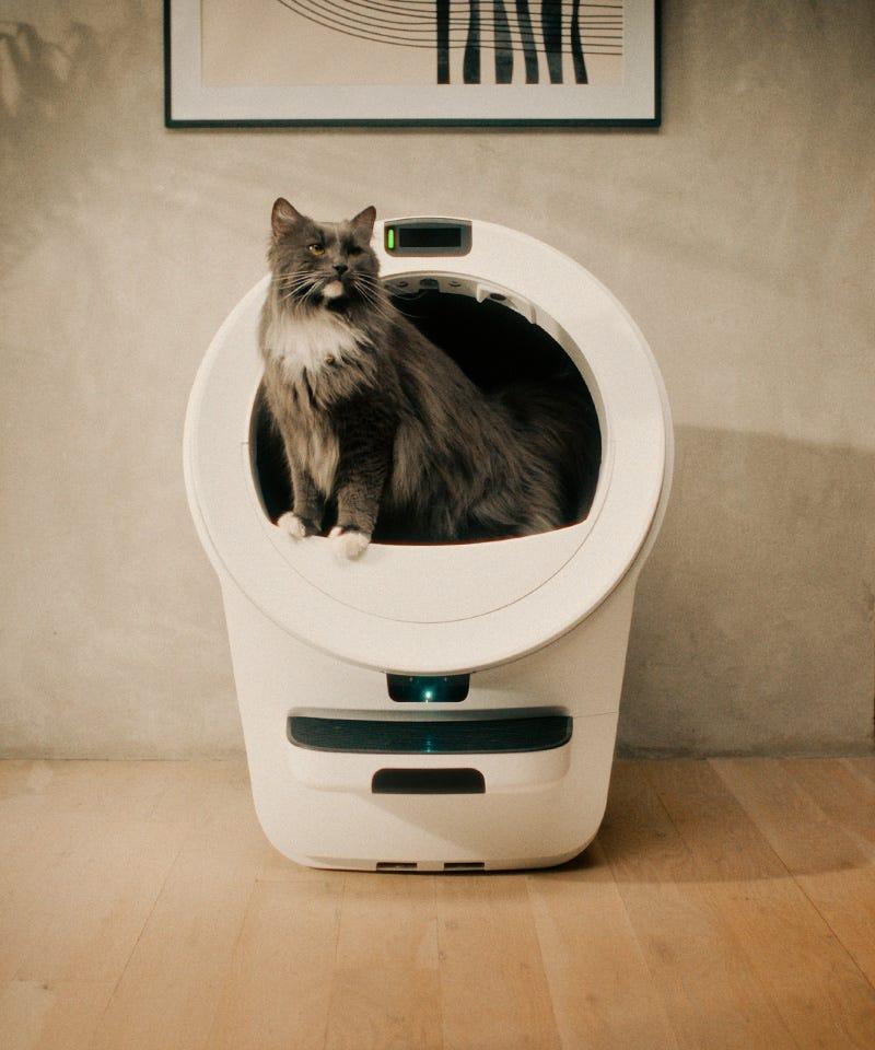 Large cat using Litter-Robot with extra headroom