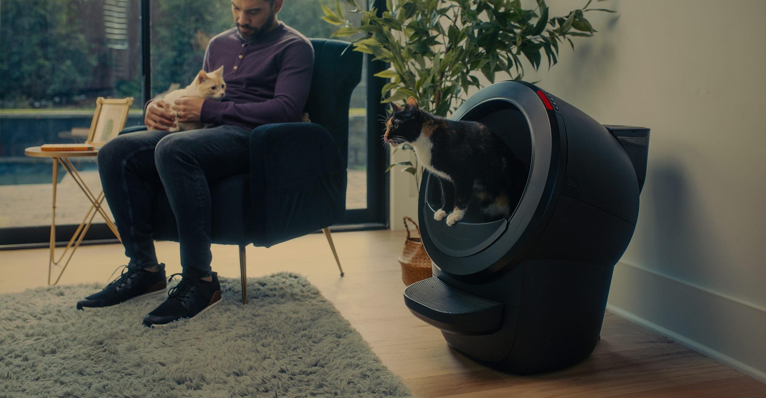 Whisker Innovation