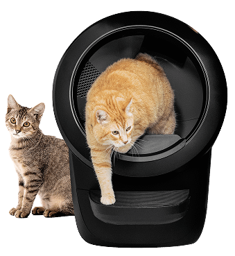 Orange cat in black Litter-Robot 4 automatic litter box and another cat sat outside