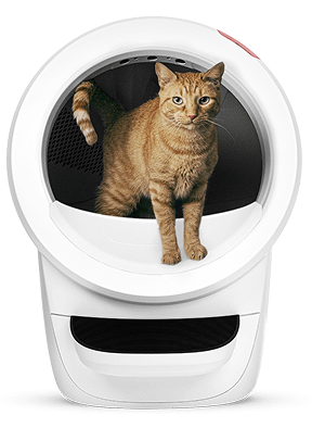 Orange cat in white Litter-Robot 4 automatic litter box