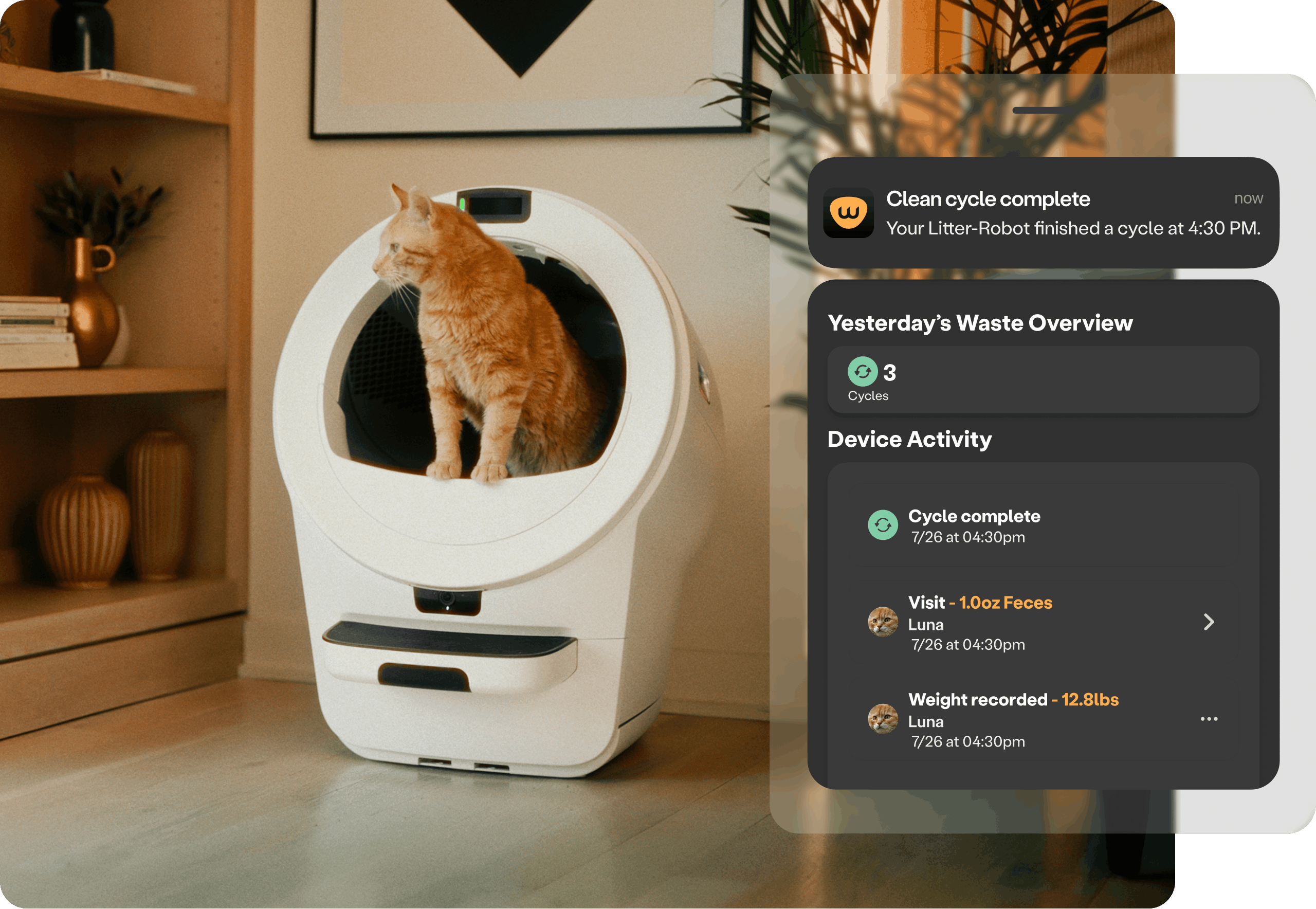 Whisker app showing visit frequency graph with daily visit count by cat