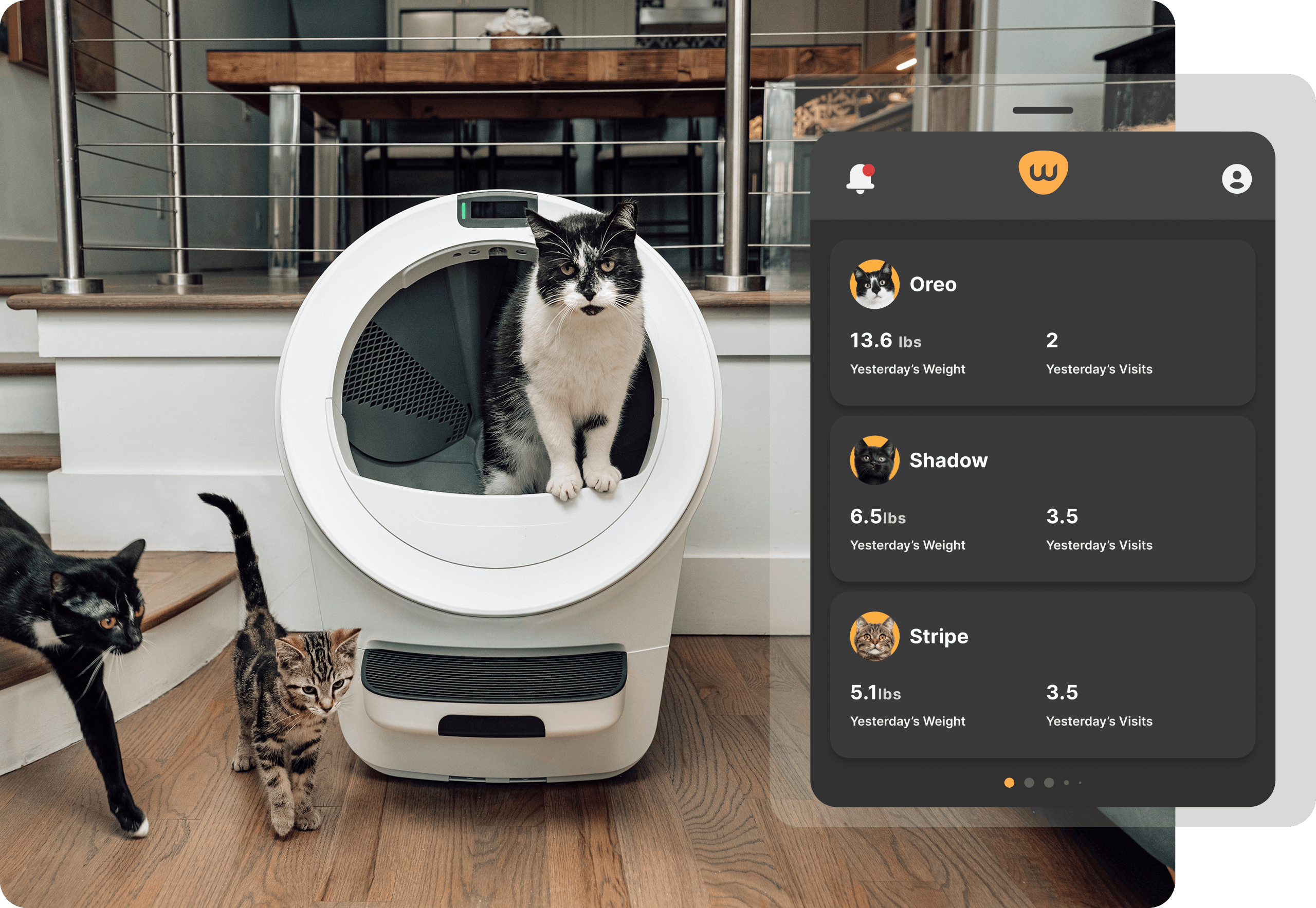 Whisker app showing two cats' individual health dashboards side by side