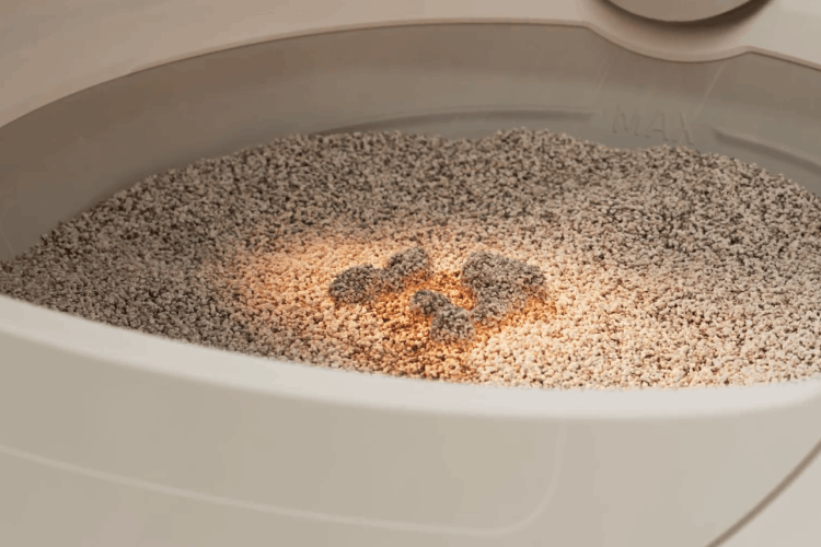 WasteID camera inside Litter-Robot 5 Pro globe