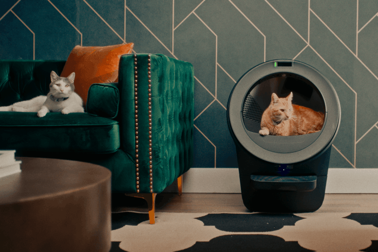 Multi-cat household with Litter-Robot 5 Pro and the Whisker app