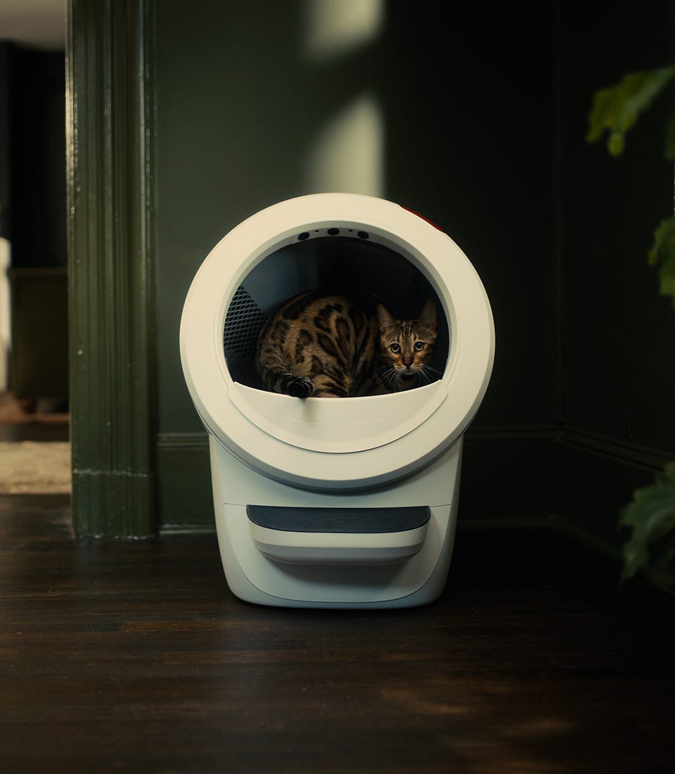 Litter-Robot and Feeder-Robot in a modern home