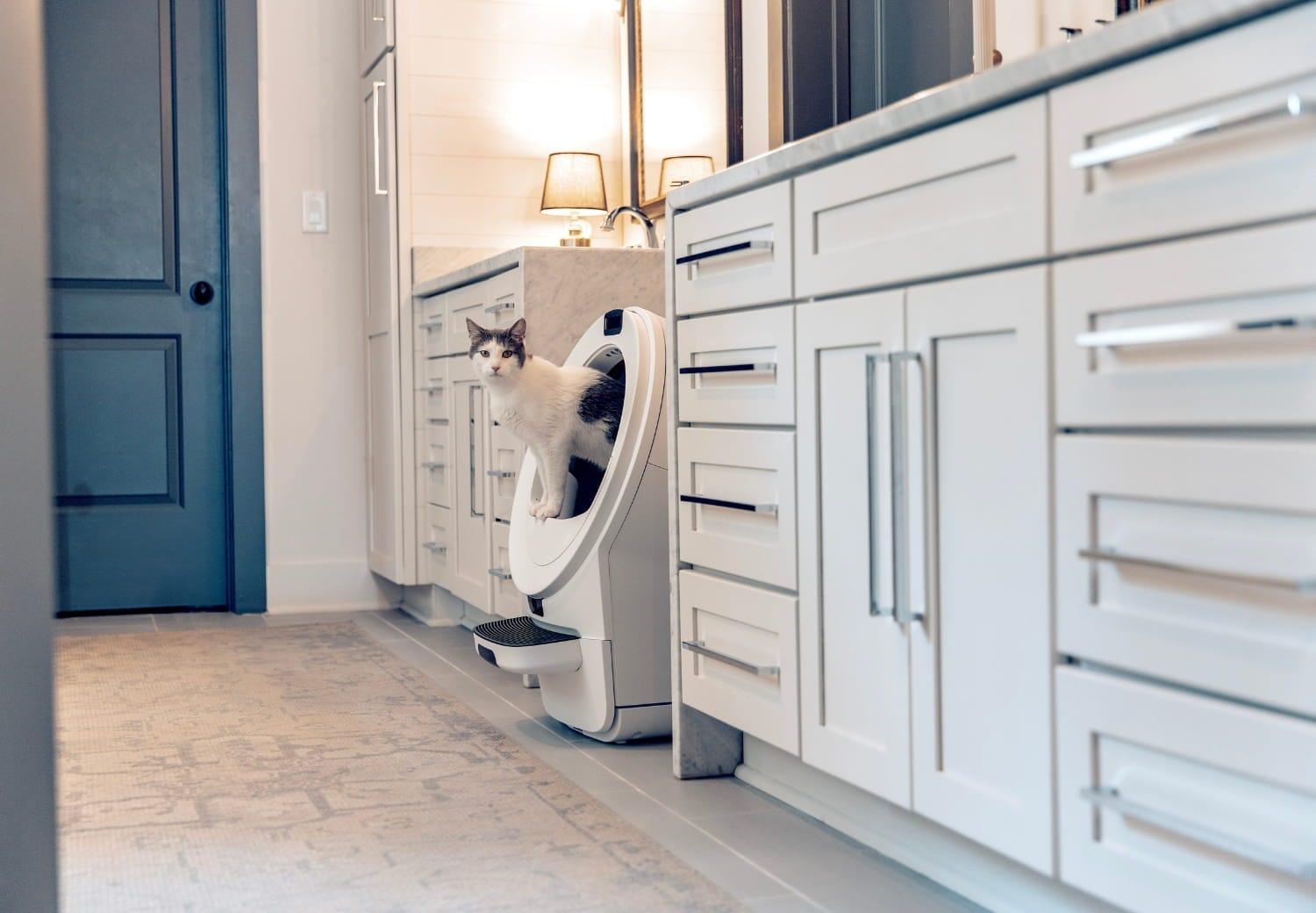 Litter-Robot 5 pro in Bathroom example