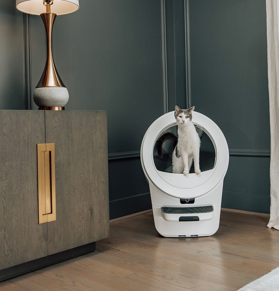 Orange cat inside Litter-Robot 4 and woman smiling