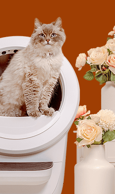 Whisker Litter-Robot self cleaning litter boxes