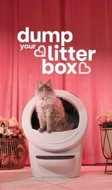 Whisker Litter-Robot self cleaning litter boxes