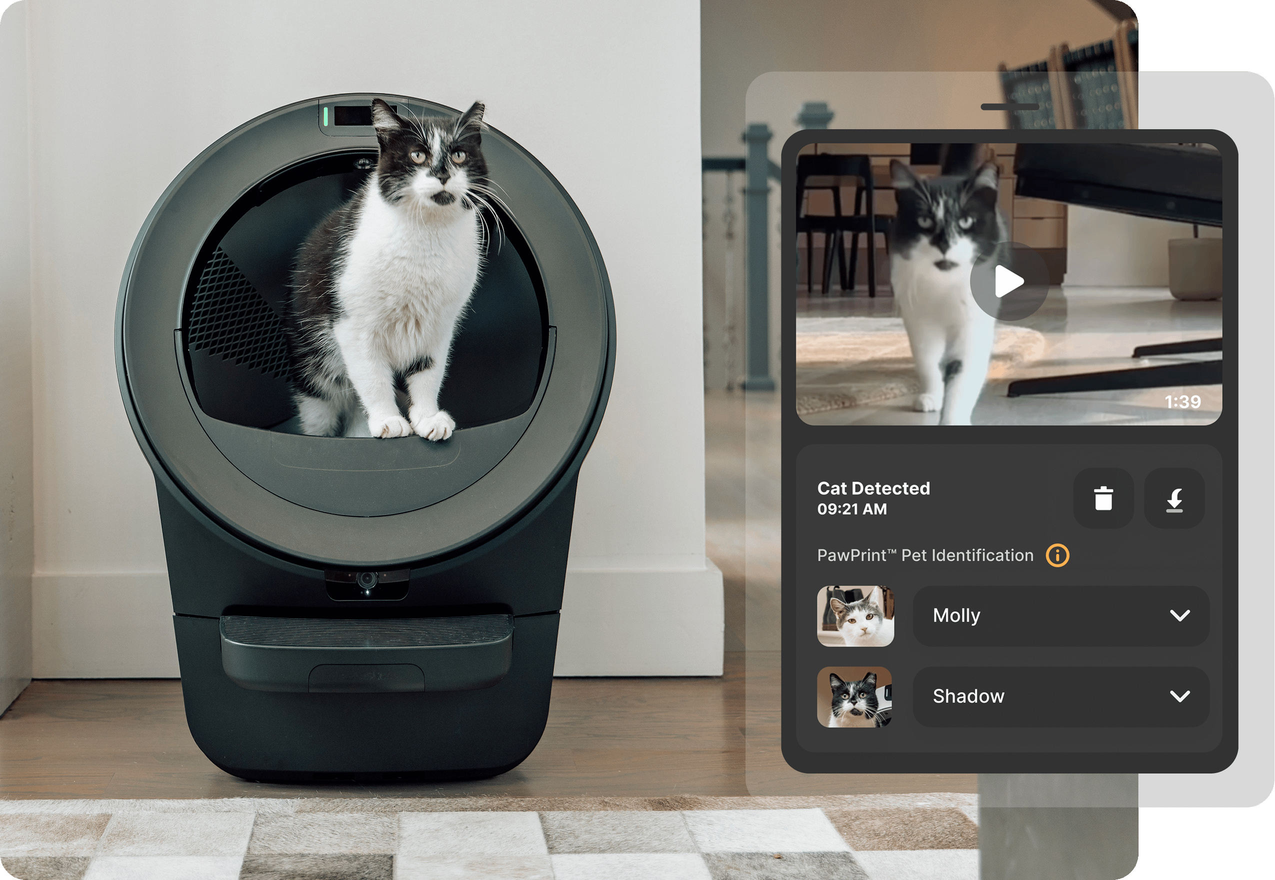 Cat detected app screen inside the automatic litter box