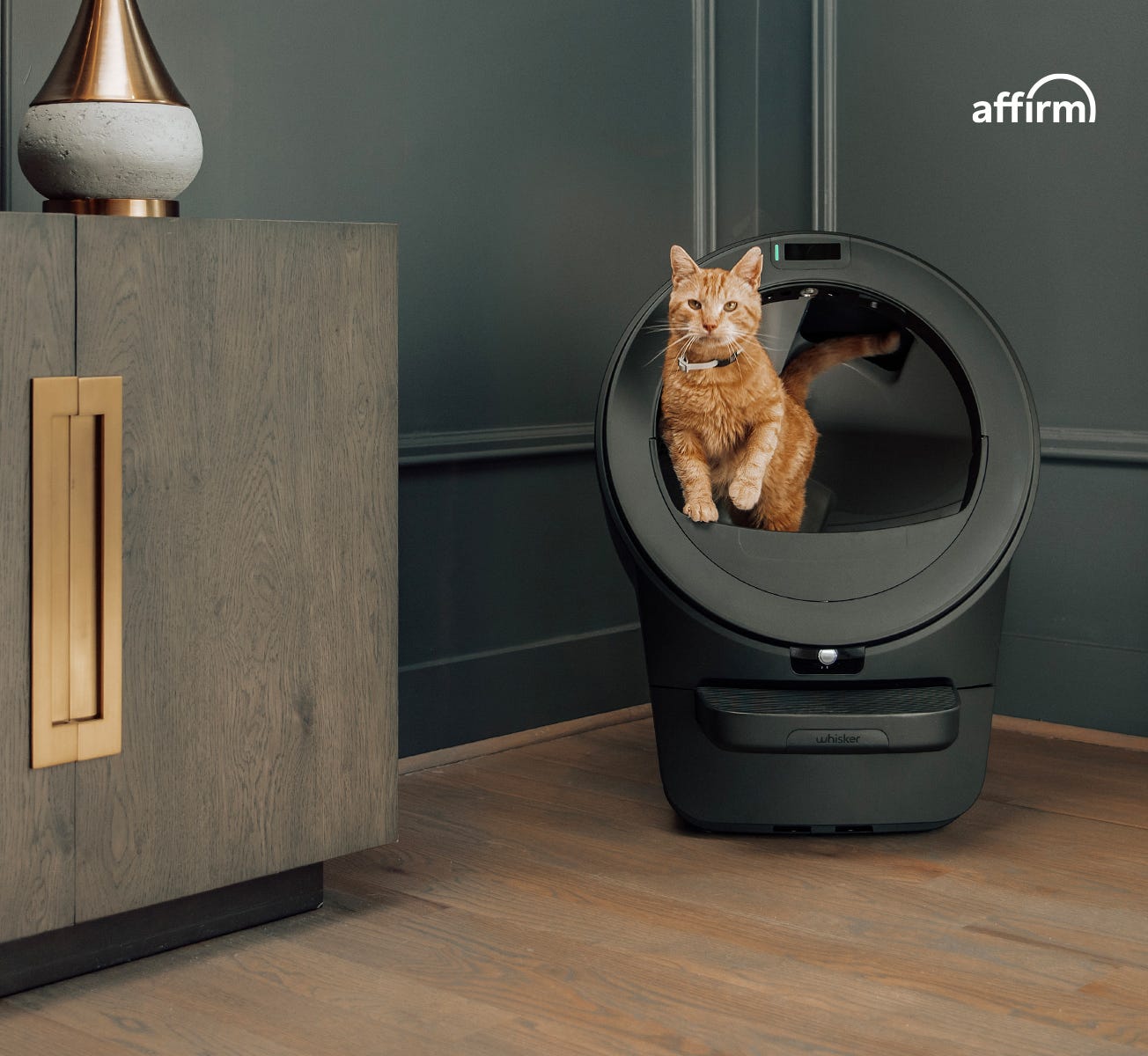 Litter-Robot 5 Pro financed with Affirm