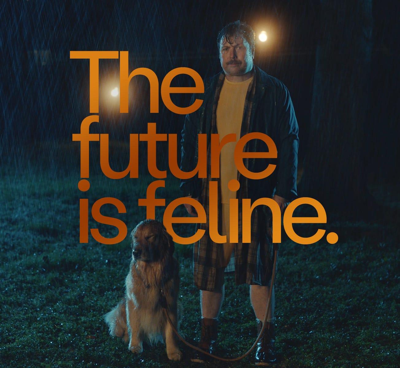 the future is feline