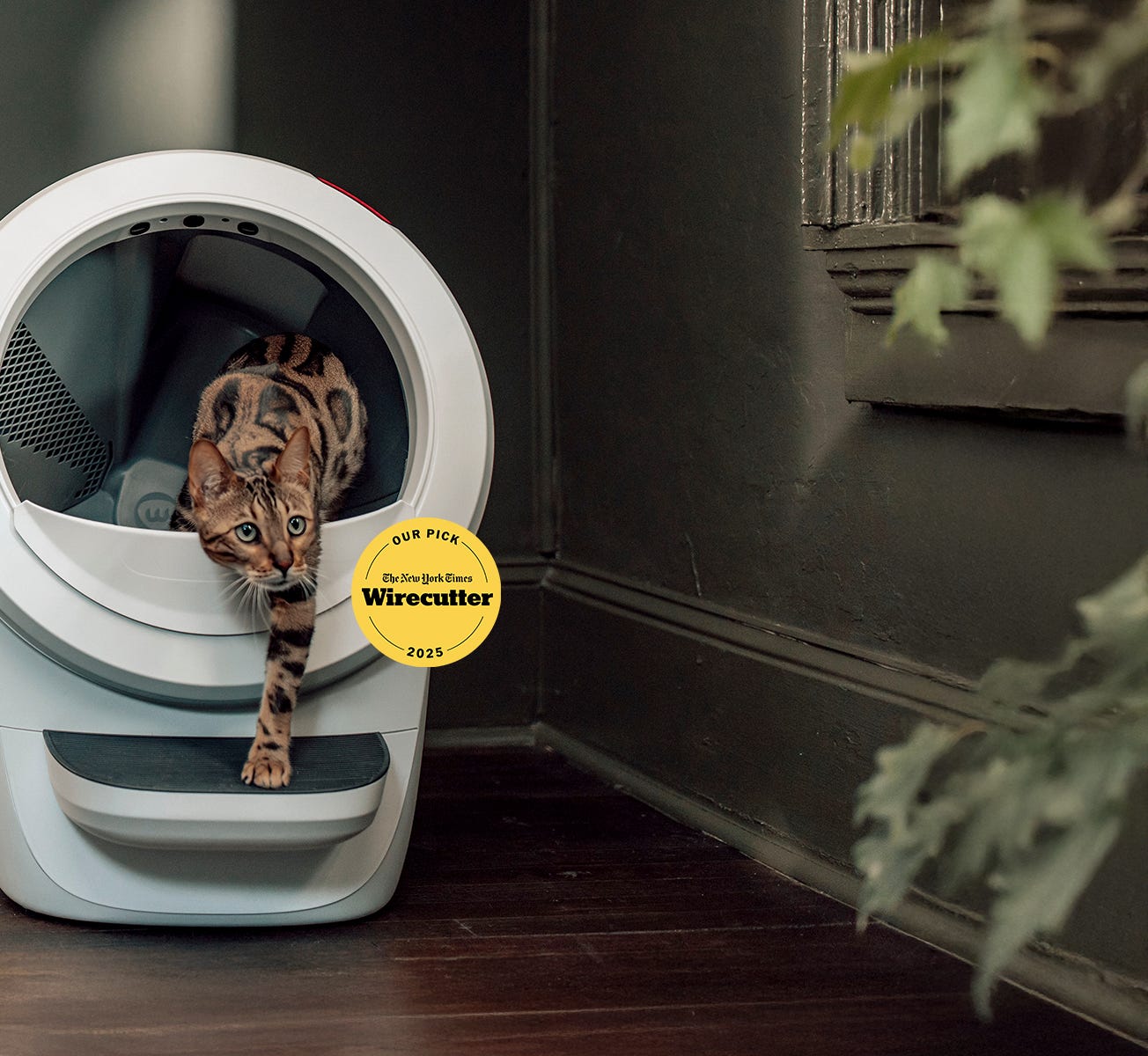 Whisker Litter-Robot 4 self cleaning litter box