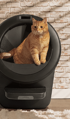 Whisker Litter-Robot self cleaning litter boxes