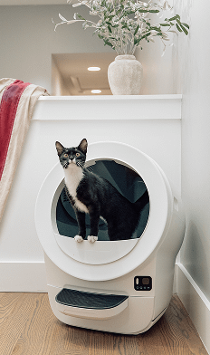 Whisker Litter-Robot self cleaning litter boxes