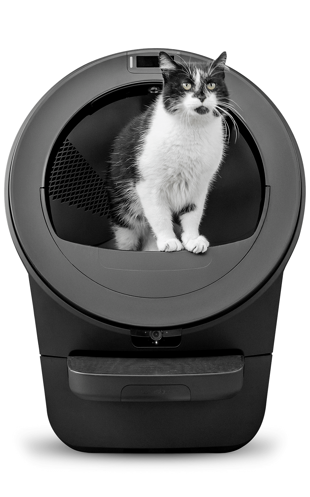cat using Litter-Robot 5