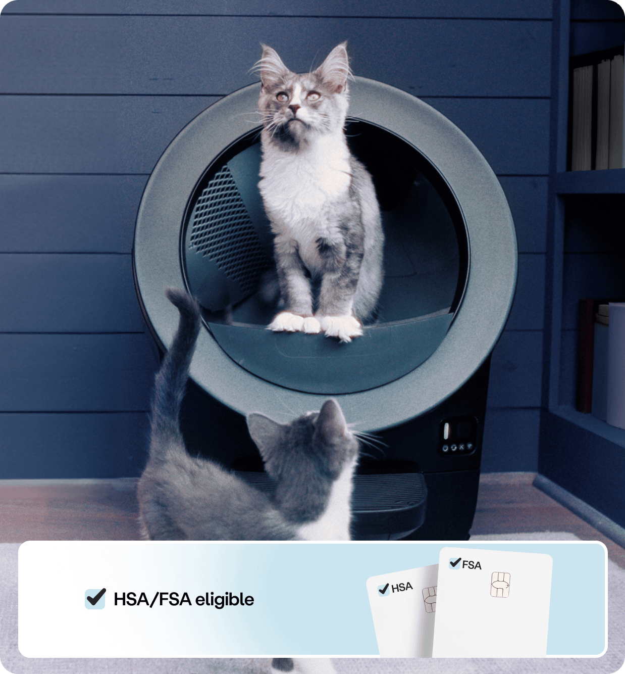 Litter-Robot EVO automatic litter box