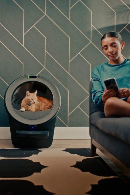 cat insights with Litter-Robot 5 pro the HSA FSA eligible automatic litter box