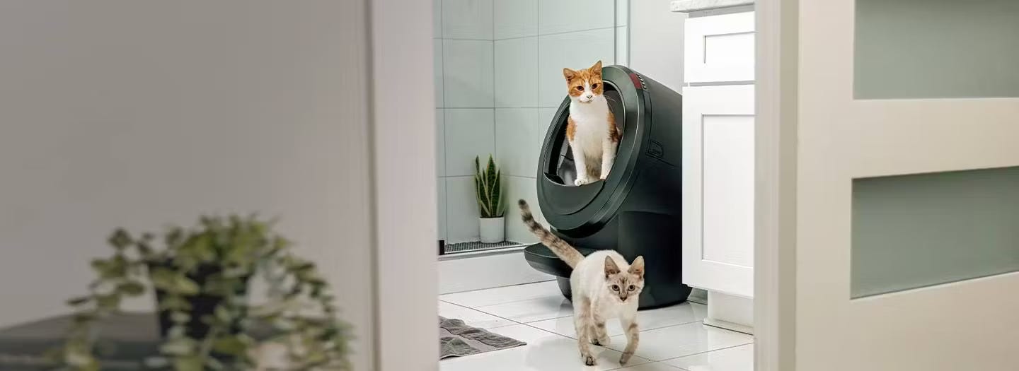 Litter-Robot in Europe