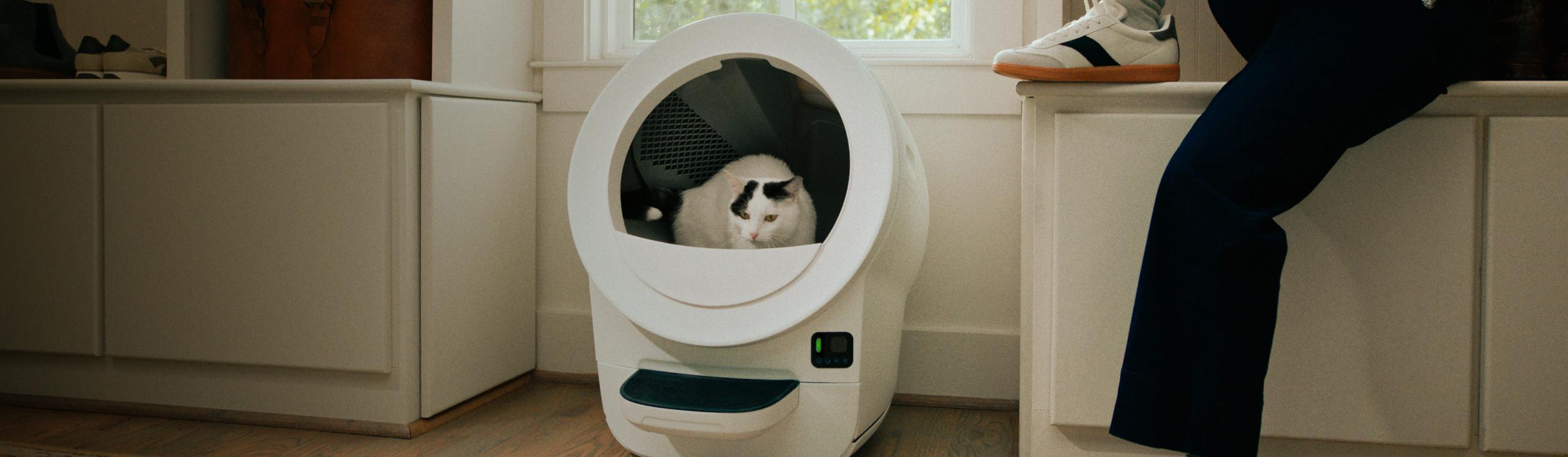 Cat parent with Litter-Robot EVO