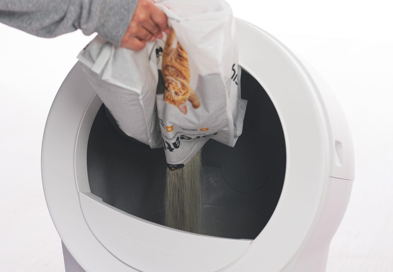 Cat litter amount guide