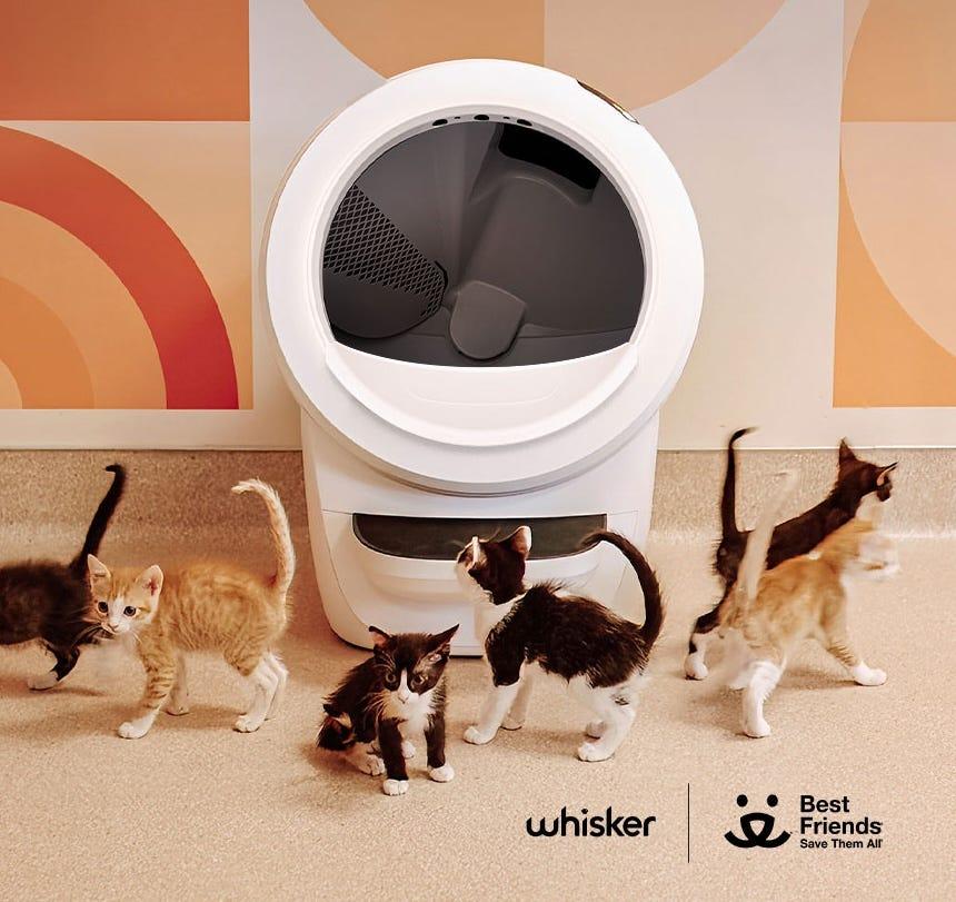 Whisker Litter-Robot Best Friends Animal Society partnership