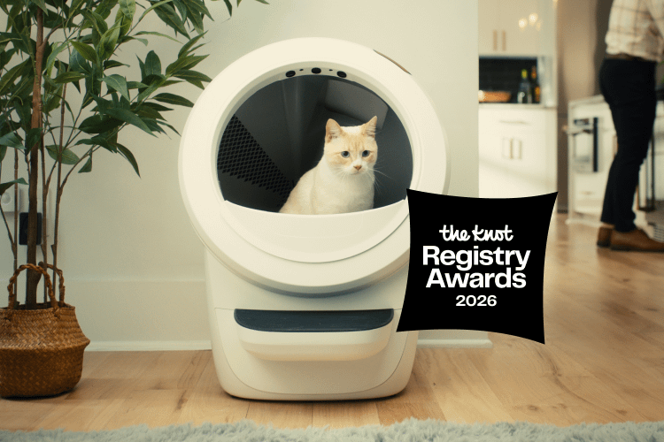 The Knot Registry Award Litter-Robot 4