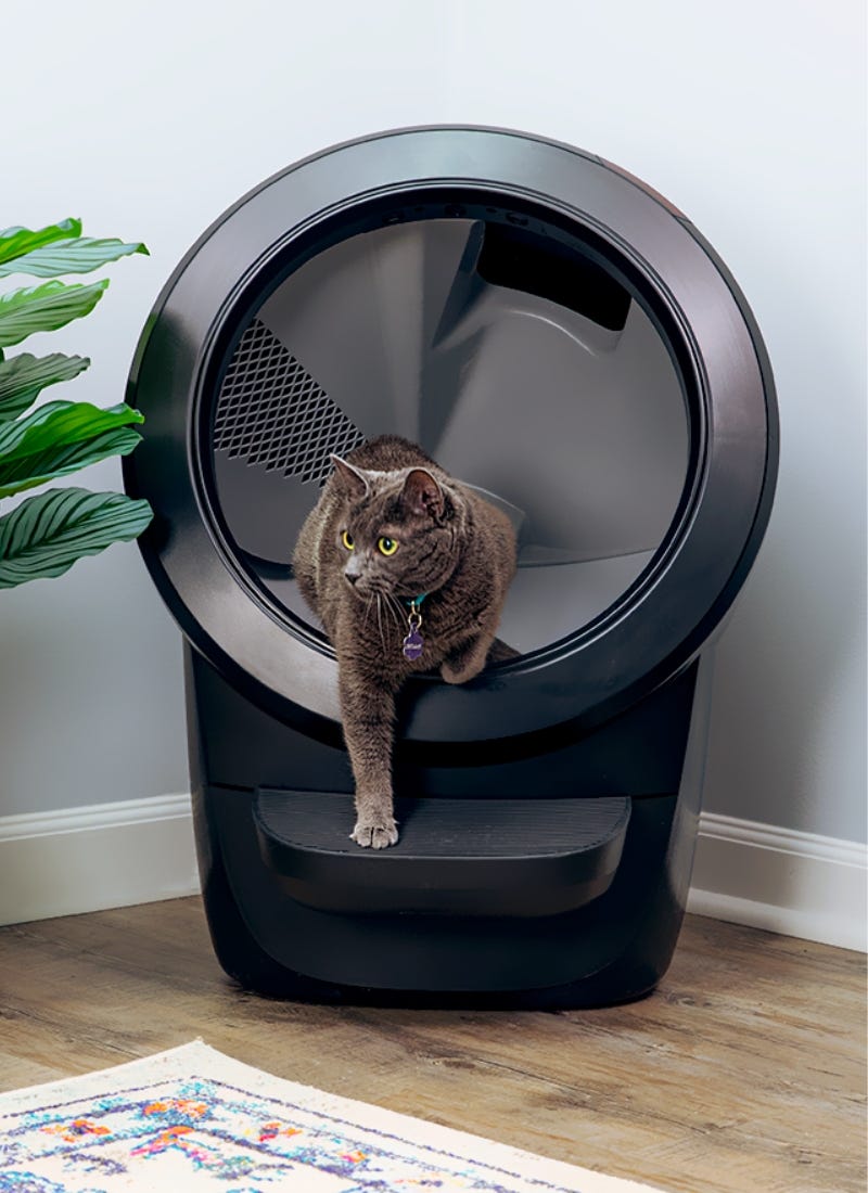 Forbes coverage highlight