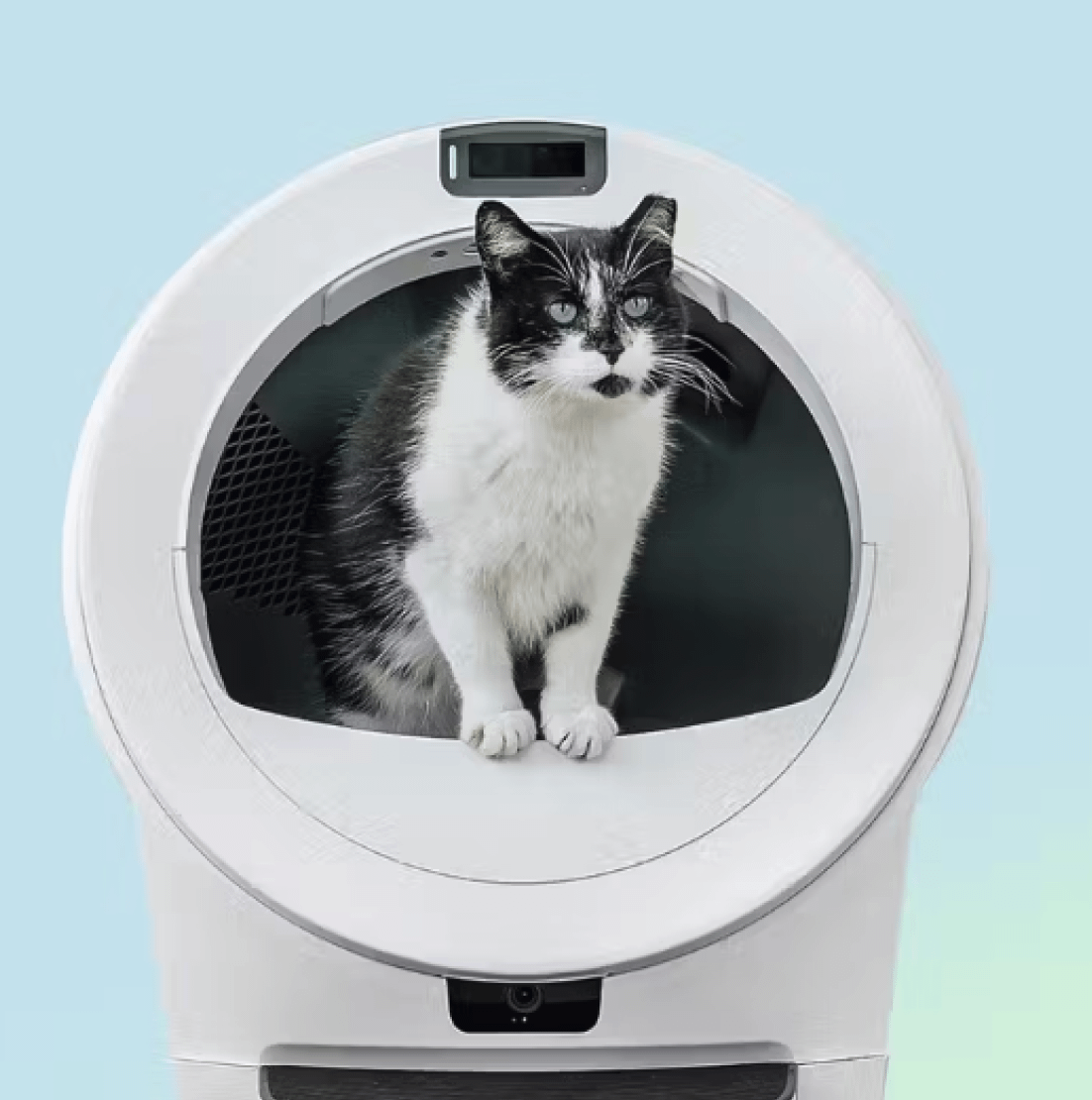 woman sitting with cat next to Litter-Robot