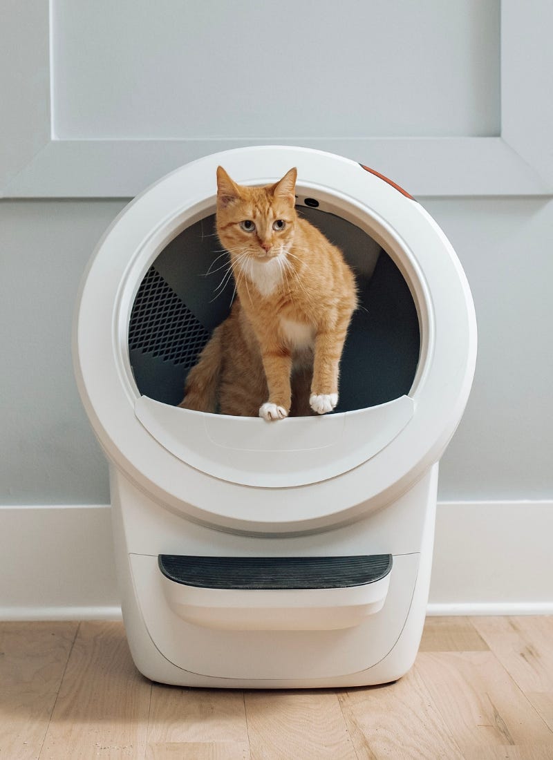 Wirecutter coverage highlight